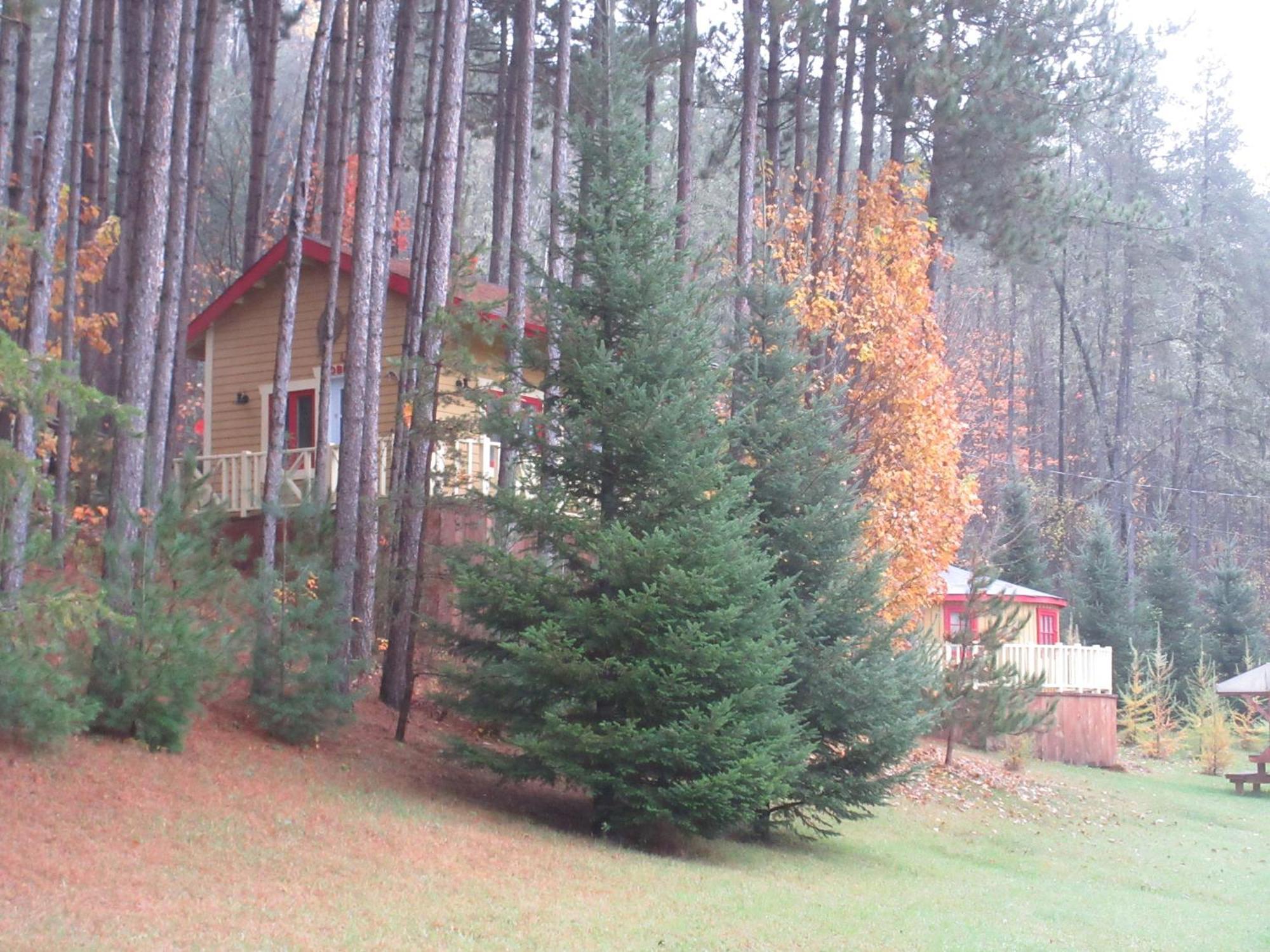 La Maison Sous Les Arbres Saint Roch de Mekinac Exterior photo