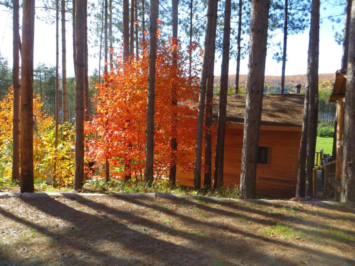 La Maison Sous Les Arbres Saint Roch de Mekinac Exterior photo